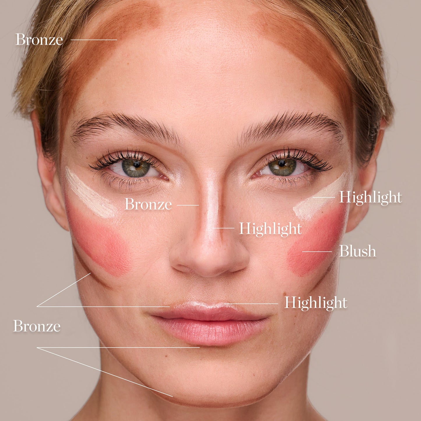 Contour Collections