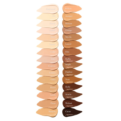 Complexion Perfecting Concealer