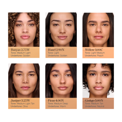 Complexion Perfecting Concealer
